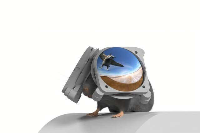 <p>An illustration of Northwestern’s virtual reality headset on a mouse</p>